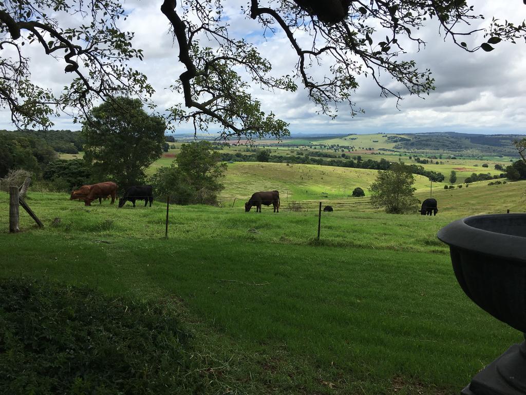 Hillview Cottages Kingaroy Exteriör bild
