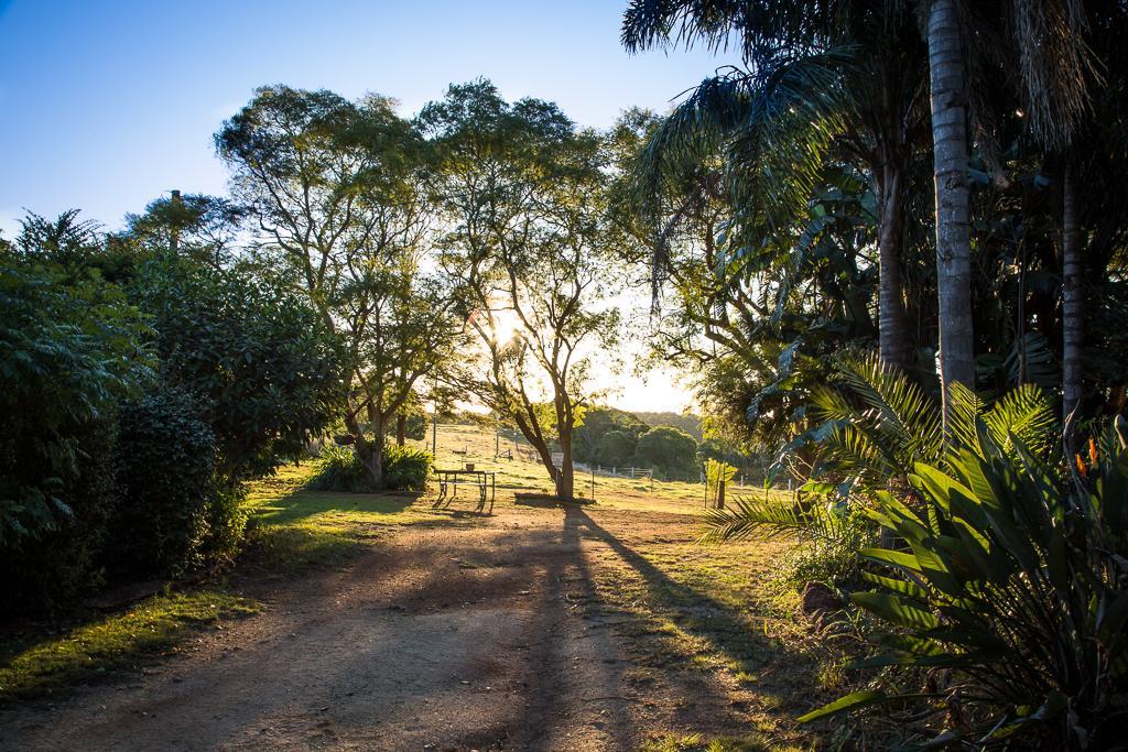 Hillview Cottages Kingaroy Exteriör bild