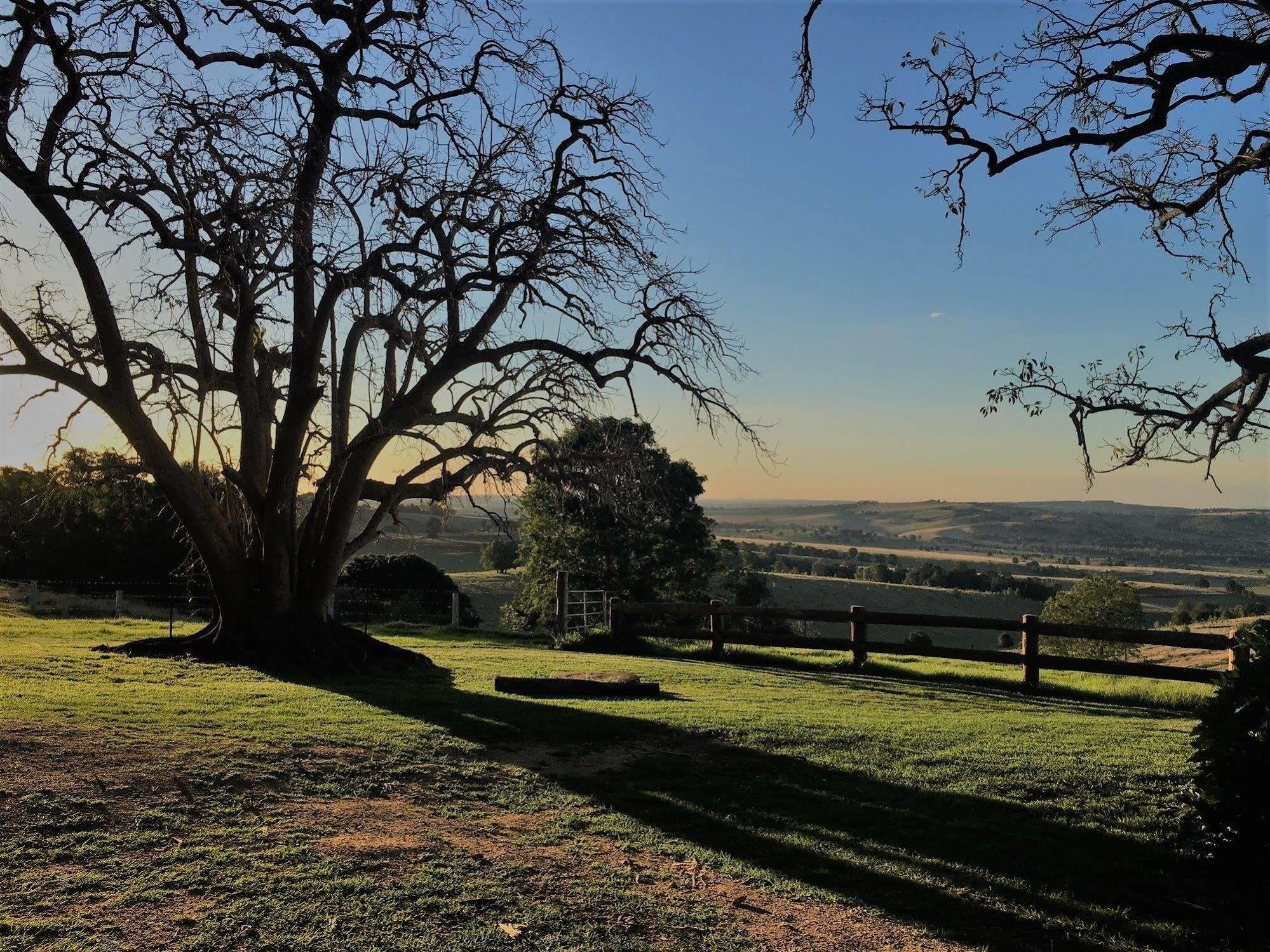 Hillview Cottages Kingaroy Exteriör bild